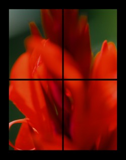 Kunst Reinickendorf - klein_44.jpg