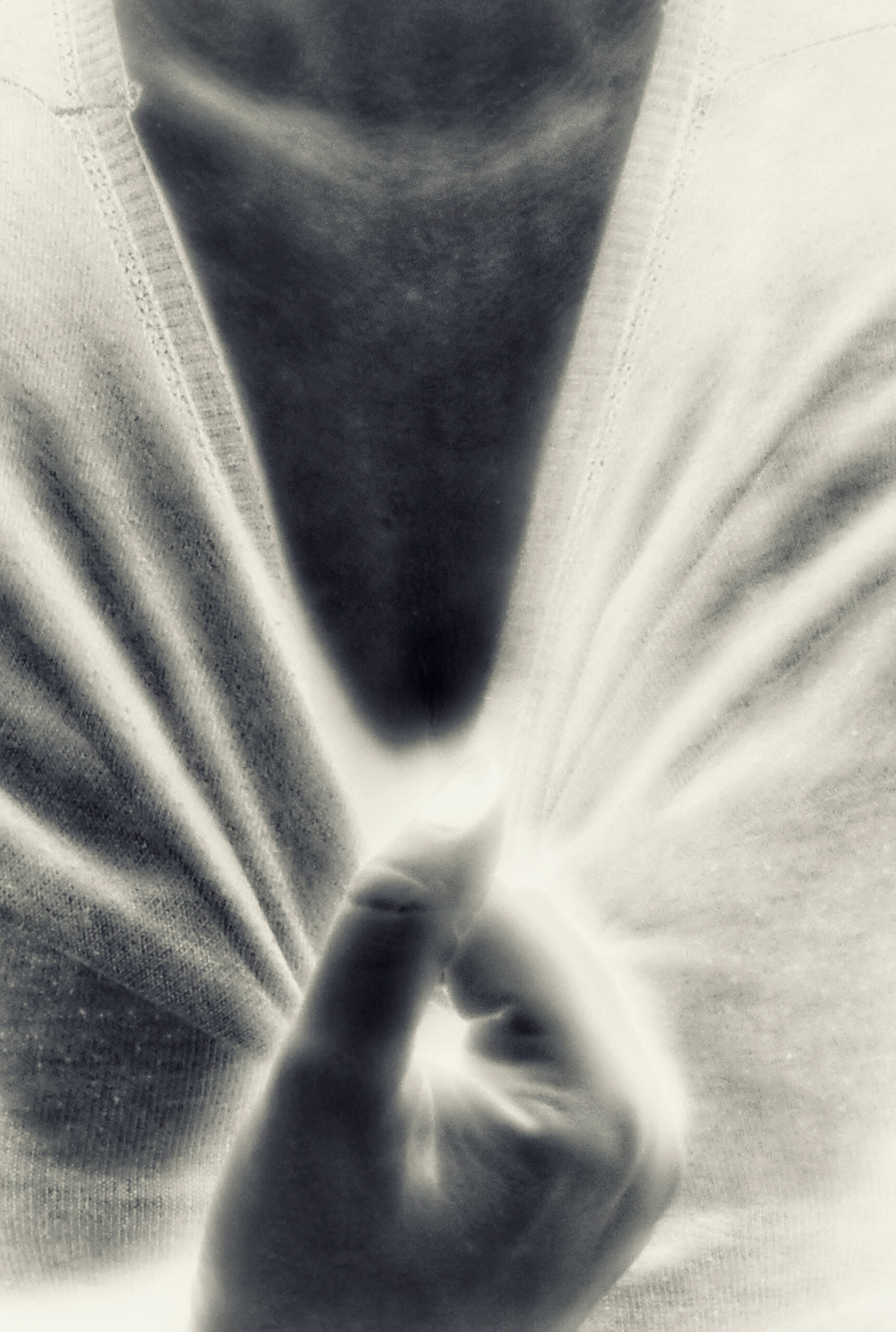 Kunst Reinickendorf - Maryna Yevtushyk